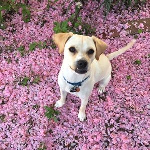 Meet your Posher, Jackie